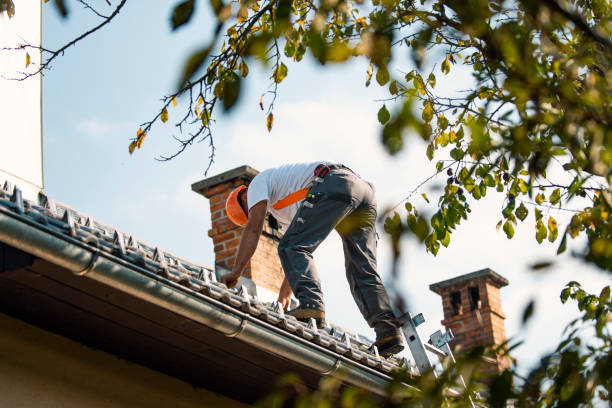 Roof Gutter Cleaning in Aurora, TX